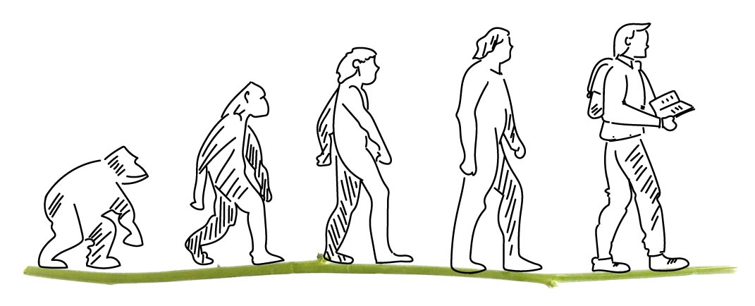 img-homo