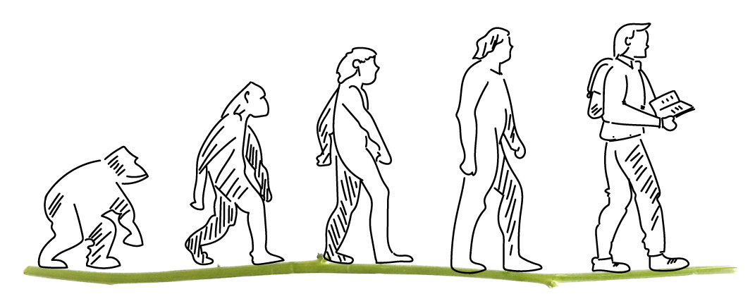 img-homo