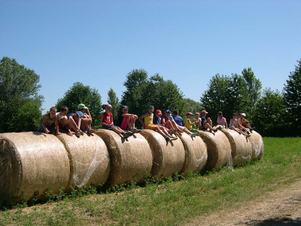 Un campo estivo per immergersi nella natura!