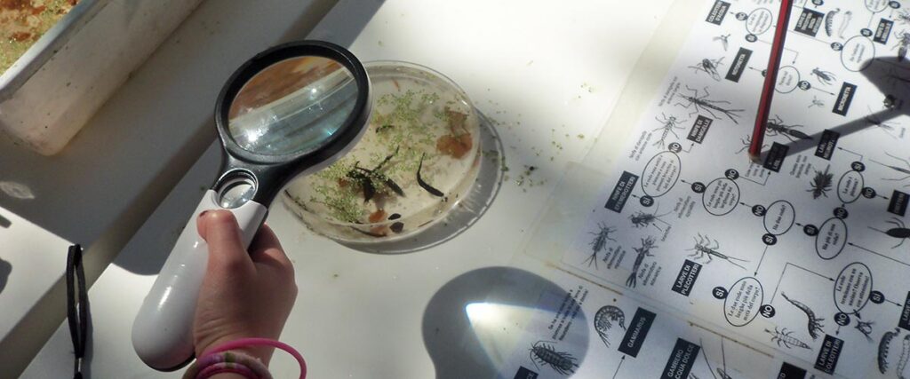 SCUOLA SECONDARIA di PRIMO GRADO
Tutte le classi della scuola Secondaria di I grado
Primavera e autunno
Biodiversità e conoscenza del territorio