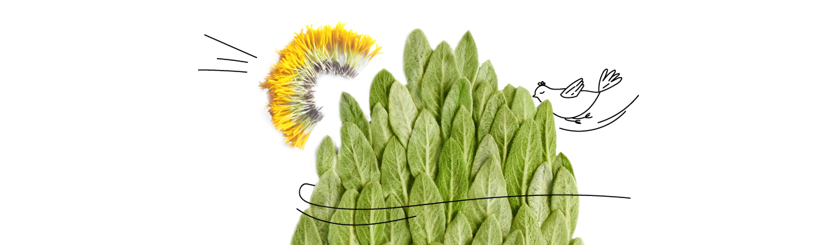 Natural-learning