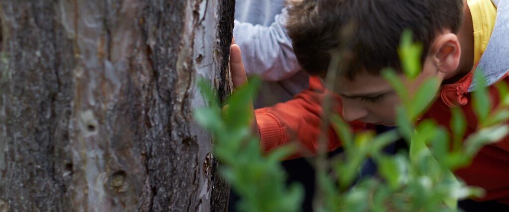 SCUOLA PRIMARIA
Classi 1^, 2^, 3^ scuola primaria
Primavera e autunno
Biodiversità e conoscenza del territorio