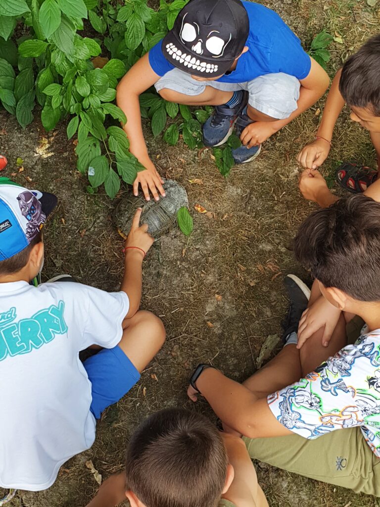 bambini e bambine che conoscono una tartaruga