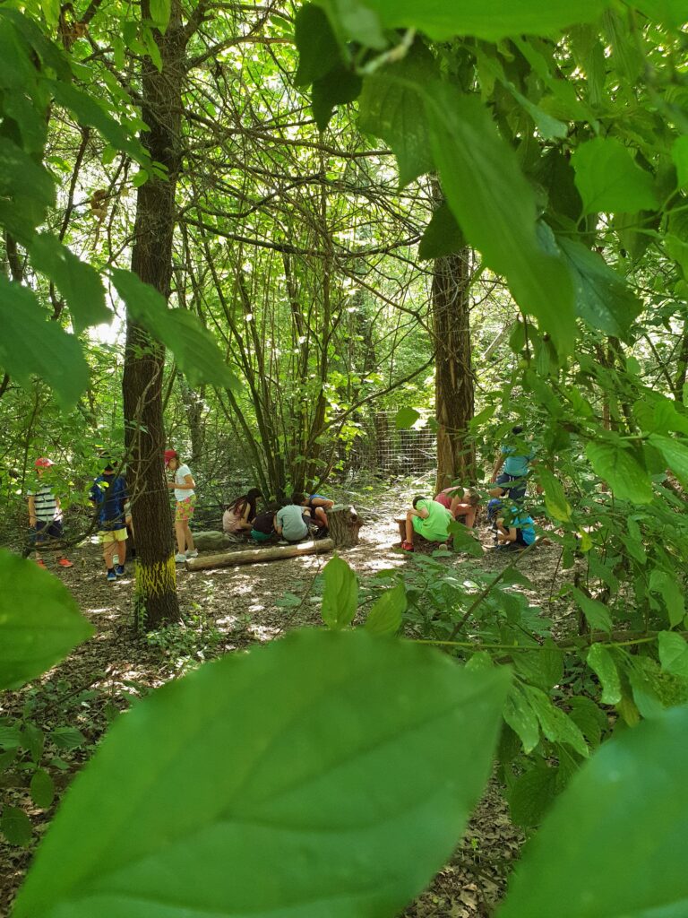 bambini e bambine che giocano all'aperto dentro a una foresta di alberi