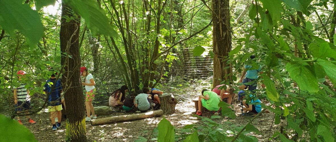 bambini e bambine che giocano all'aperto dentro a una foresta di alberi