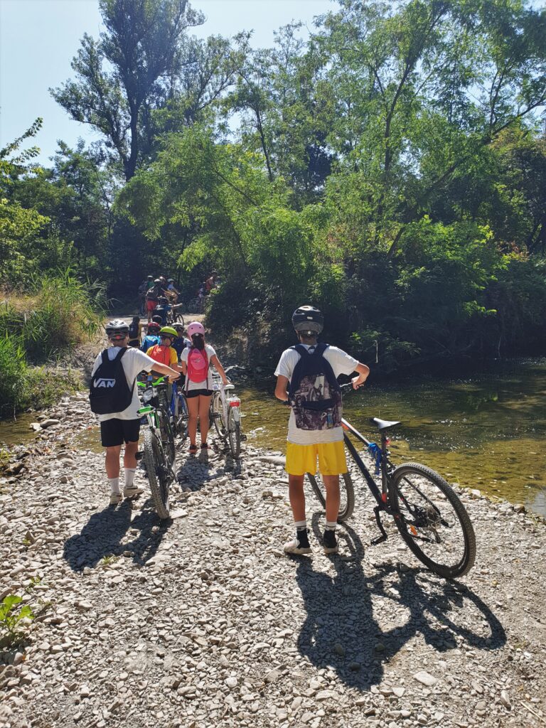 bambini e bambine che vanno in bici ll'aperto