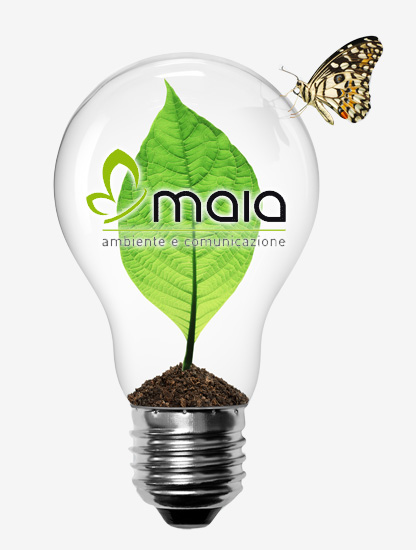 LAMPADINA LAMPADINA