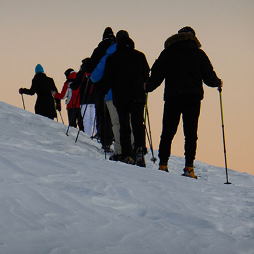 PROGETTO NEVE NATURA
